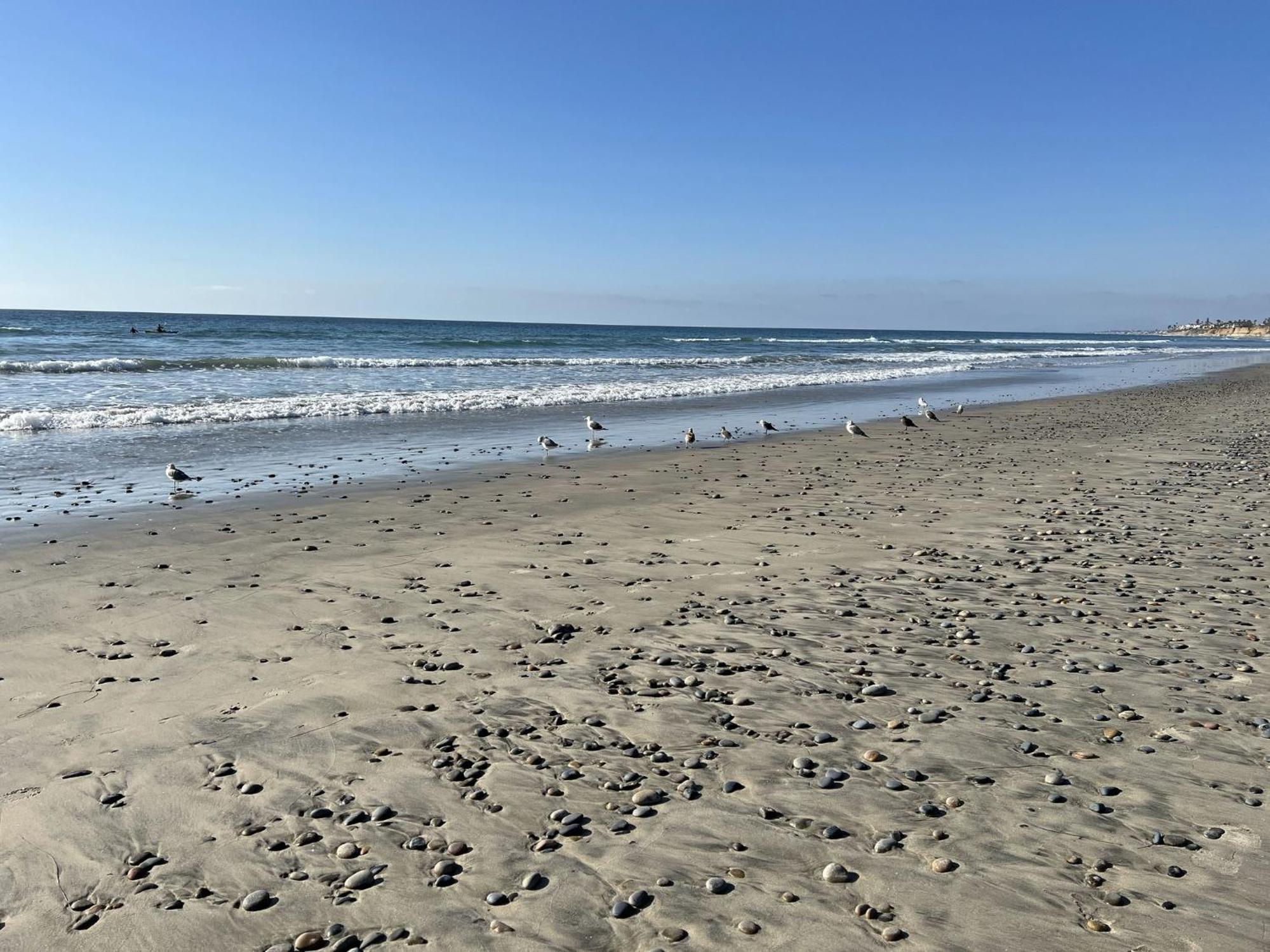 Holiday Inn Carlsbad/San Diego By Ihg Eksteriør billede