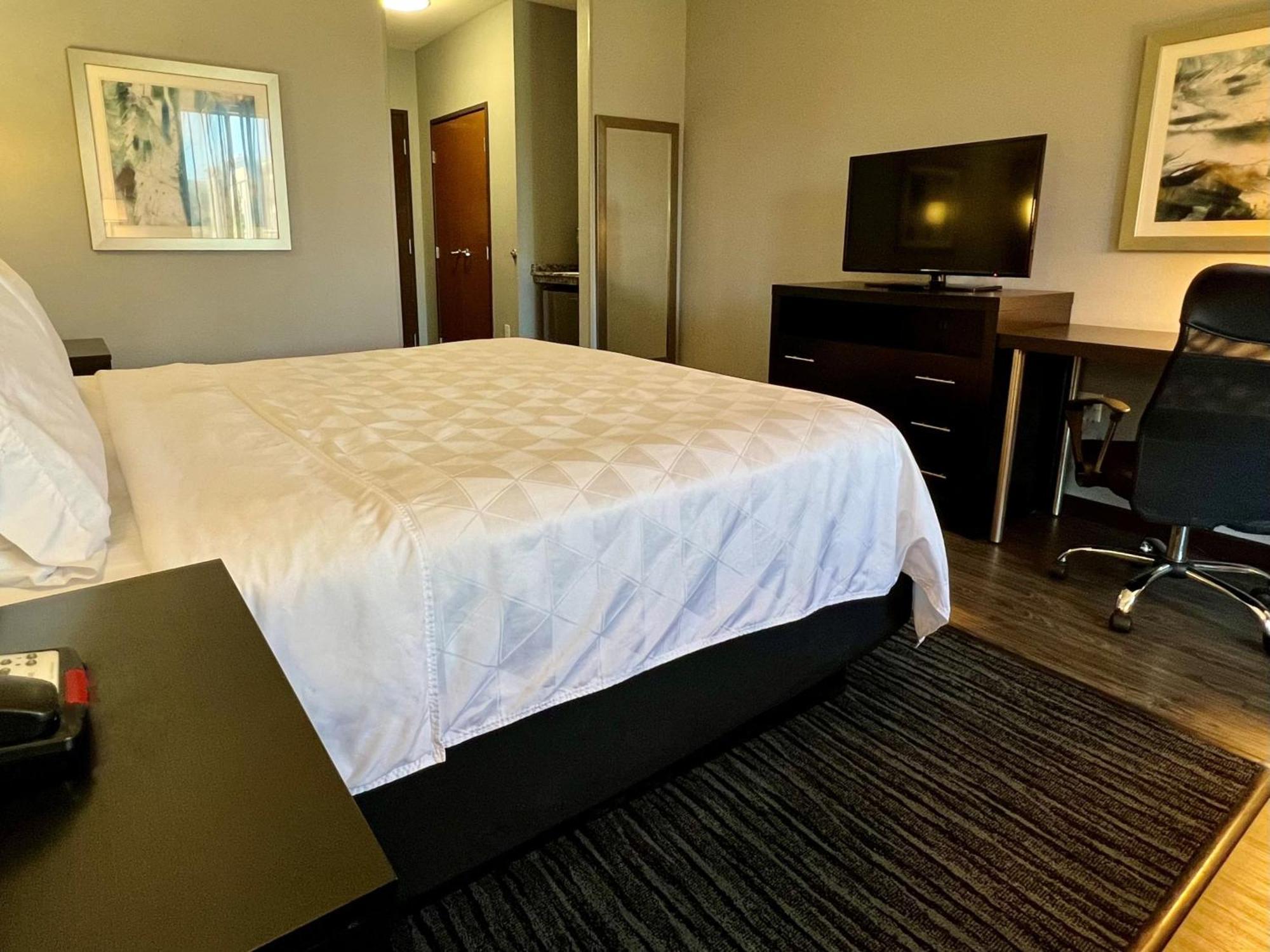 Holiday Inn Carlsbad/San Diego By Ihg Eksteriør billede